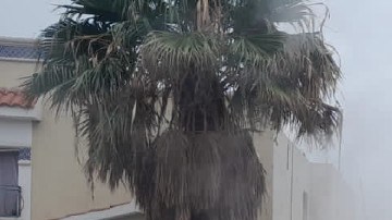 Explosión en Coahuila