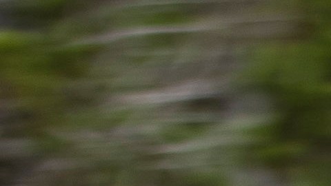 Conoce si la versión eléctrica de la Ford F-150 está a la altura del modelo más emblemático del fabricante del óvalo