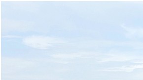 Se reporta al menos el robo de 12 Ford Mustangs en Detroit