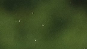 La golfista Gaby López sorprendió con su triunfo en el Dana Open.