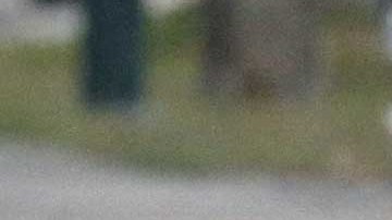 Varias especies ya comienzan a verse amenazadas en la frontera