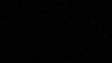 Rescatan más de 300 perros en redada histórica en Carolina del Sur; hay al menos 20 detenidos