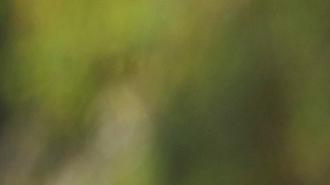 Mujer que fingió su propio secuestro en 2016 mientras estaba con su exnovio es condenada a 18 meses de prisión