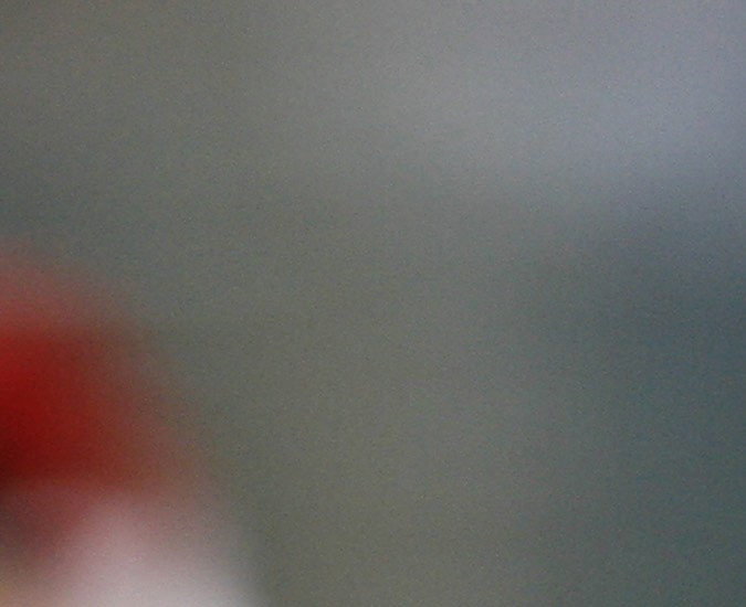 El Mes de la Herencia Hispana celebra los aportes y la cultura de los latinos en Estados Unidos.