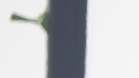 China desarrolla misil torpedo supersónico que puede ir a 2.5 veces la velocidad del sonido