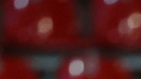 El peruano quedó como máximo goleador del Werder Bremen.