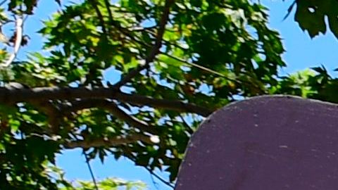 Ola de calor en California alcanza temperatura récord y podría empeorar; advierten red eléctrica al límite