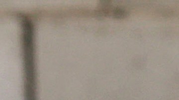 Descubre en Nigeria cargamento ilegal de 7,000 penes de burro que serían exportados a Hong Kong