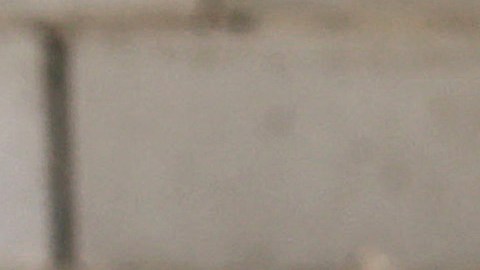 Descubre en Nigeria cargamento ilegal de 7,000 penes de burro que serían exportados a Hong Kong