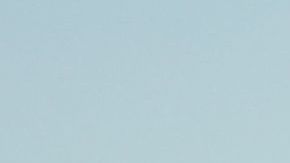 Exagente de CBP condenado a 1 año por violencia irrazonable contra hombre en puerto de entrada a EE.UU.