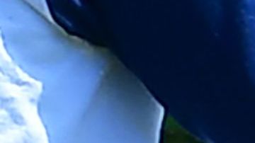 A man waters his lawn in Alhambra, California on April 27, 2022, a day after Southern California delared a water shortage emergency, with unprecedented new restrictions on outdoor watering for millions of people living in Los Angeles, San Bernardino and Ventura counties. - Southern California's Metropolitan water district will allow for outdoor watering tp just one day per week effective June 1st. (Photo by Frederic J. BROWN / AFP) (Photo by FREDERIC J. BROWN/AFP via Getty Images)