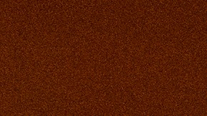 Vacuna contra COVID podría convertirse en una dosis anual como la de la influenza: Fauci