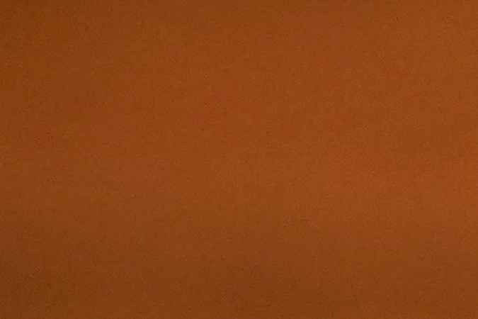 Alexandria Ocasio-Cortez