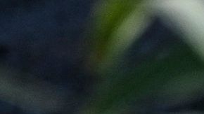 Una familia migrante de Venezuela cruza el Río Grande por Eagle Pass el 30 de junio de 2022.