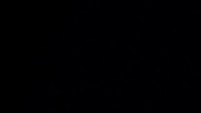 Newt Gingrich debe comparecer ante el panel del 6 de enero.