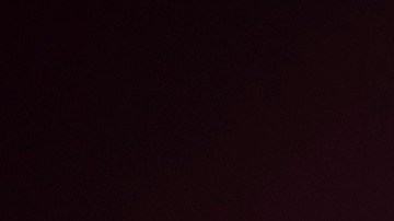 El gobernador republicano Ron DeSantis enfrenta críticas por envío irregular de inmigrantes a Martha's Vineyard.