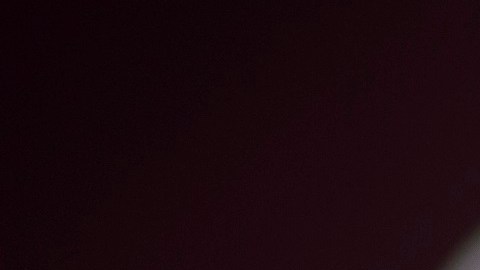 El gobernador republicano Ron DeSantis enfrenta críticas por envío irregular de inmigrantes a Martha's Vineyard.