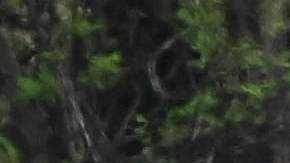 Seguidores de Donald Trump esperan para escucharlo en un mitin en Pennsylvania.