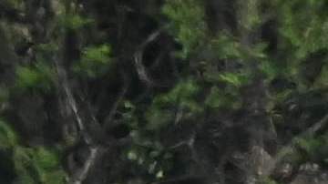 Seguidores de Donald Trump esperan para escucharlo en un mitin en Pennsylvania.