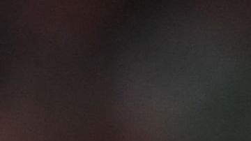 'El Gato' estará un tiempo fuera de los campos de juego en España.