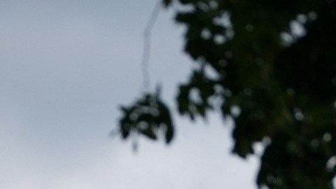 En la Casa Blanca ya ondea la bandera a media asta por la muerte de la Reina Isabel II.