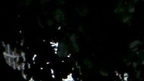 Qué dice la ciencia sobre la idea de que en México hay más terremotos en septiembre