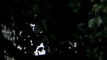 Qué dice la ciencia sobre la idea de que en México hay más terremotos en septiembre