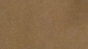 Floyd 'The Money' Mayweather, boxeador retirado.