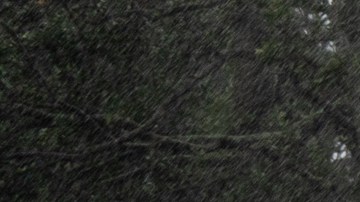 Huracán Ian deja sin electricidad a más de 600,000 de personas en Florida; cifra podría aumentar en horas