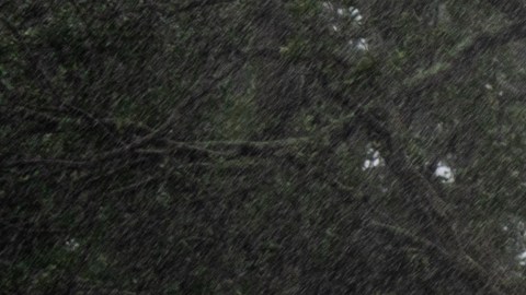Huracán Ian deja sin electricidad a más de 600,000 de personas en Florida; cifra podría aumentar en horas
