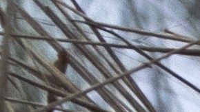 Los traficantes de personas someten a los inmigrantes a grandes riesgos en busca de ganancias.