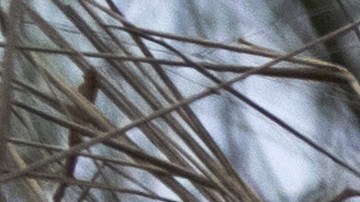 Los traficantes de personas someten a los inmigrantes a grandes riesgos en busca de ganancias.