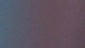 VIDEO: Embajador de EE.UU. en México revela cómo vivió su primera vez en un sismo