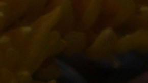 Sobreviviente de tiroteo en escuela de Detroit viaja a Uvalde y regala peluches a estudiantes en su regreso tras la tragedia