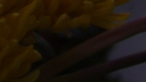 Sobreviviente de tiroteo en escuela de Detroit viaja a Uvalde y regala peluches a estudiantes en su regreso tras la tragedia