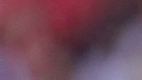 Rafa Silva abandona la selección a los 29 años de edad.