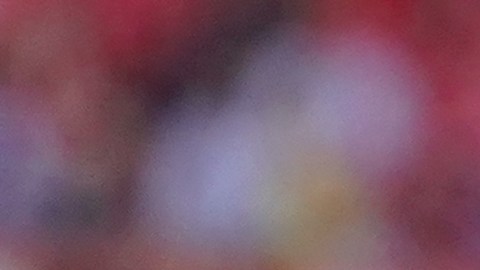 Rafa Silva abandona la selección a los 29 años de edad.