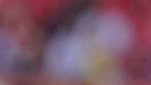 Rafa Silva abandona la selección a los 29 años de edad.
