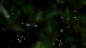 LOS ANGELES, CALIFORNIA - JULY 27: Los Angeles Department of Water and Power (LADWP) water conservation specialist Damon Ayala walks while inspecting a sprinkler system, which is operating in violation of the water conservation ordinance, on July 27, 2022 in Los Angeles, California. Amid California’s ongoing drought, Ayala and other public servants with the Water Conservation Response Unit patrol the city for lawn watering violations and respond to water waste reports from members of the community. Following increased lawn watering restrictions due to the drought, Angelenos recorded the lowest all-time water use for any June recorded in the City of Los Angeles. (Photo by Mario Tama/Getty Images)