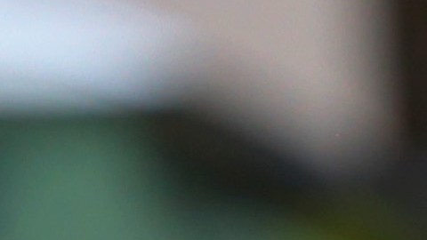 Cuatro de las víctimas murieron a causa de sus heridas.