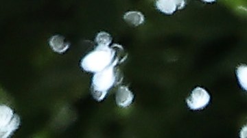 La cancelación de la deuda estudiantil, beneficia a las familias latinas en EE.UU e impulsa el desarrollo de la región.