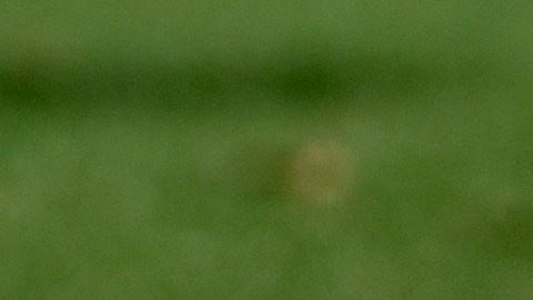 El fútbol de El Salvador ve como una mancha llegó a su nombre.