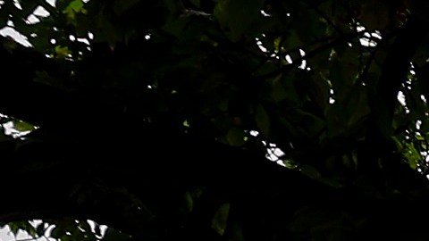 El edificio de la Corte Suprema de los Estados Unidos el 6 de septiembre de 2022 en Washington, DC.