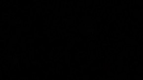 La presidenta de la Cámara, Nancy Pelosi, fue presentada por Priyanka Chopra Jonas.