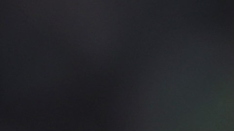 El jugador estaría con Alemania en Qatar 2022.
