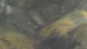 VIDEO: Paso de huracán Ian deja estela de destrozos a su paso por Fort Myers, Cape Coral y Naples