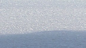 Partes de Sanibel Causeway fueron arrastradas con secciones del puente al paso del huracán Ian en el condado de Lee.