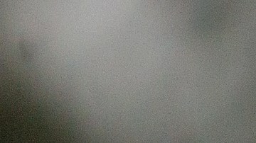 Oso mutila y deja grave a niño de 9 años mientras estaba de cacería en Alaska