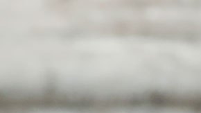 Reina Isabel II muere a los 96 años de edad