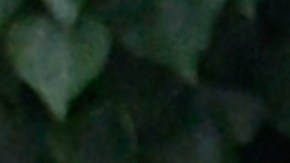 SANTA MONICA, CA - JUNE 07: Los Angeles County SWAT team members search the grounds of Santa Monica College near the library after multiple shootings were reported on the campus June 7, 2013 in Santa Monica, California. According to reports, at least three people have been injured, and a suspect was taken into custody. (Photo by Kevork Djansezian/Getty Images)